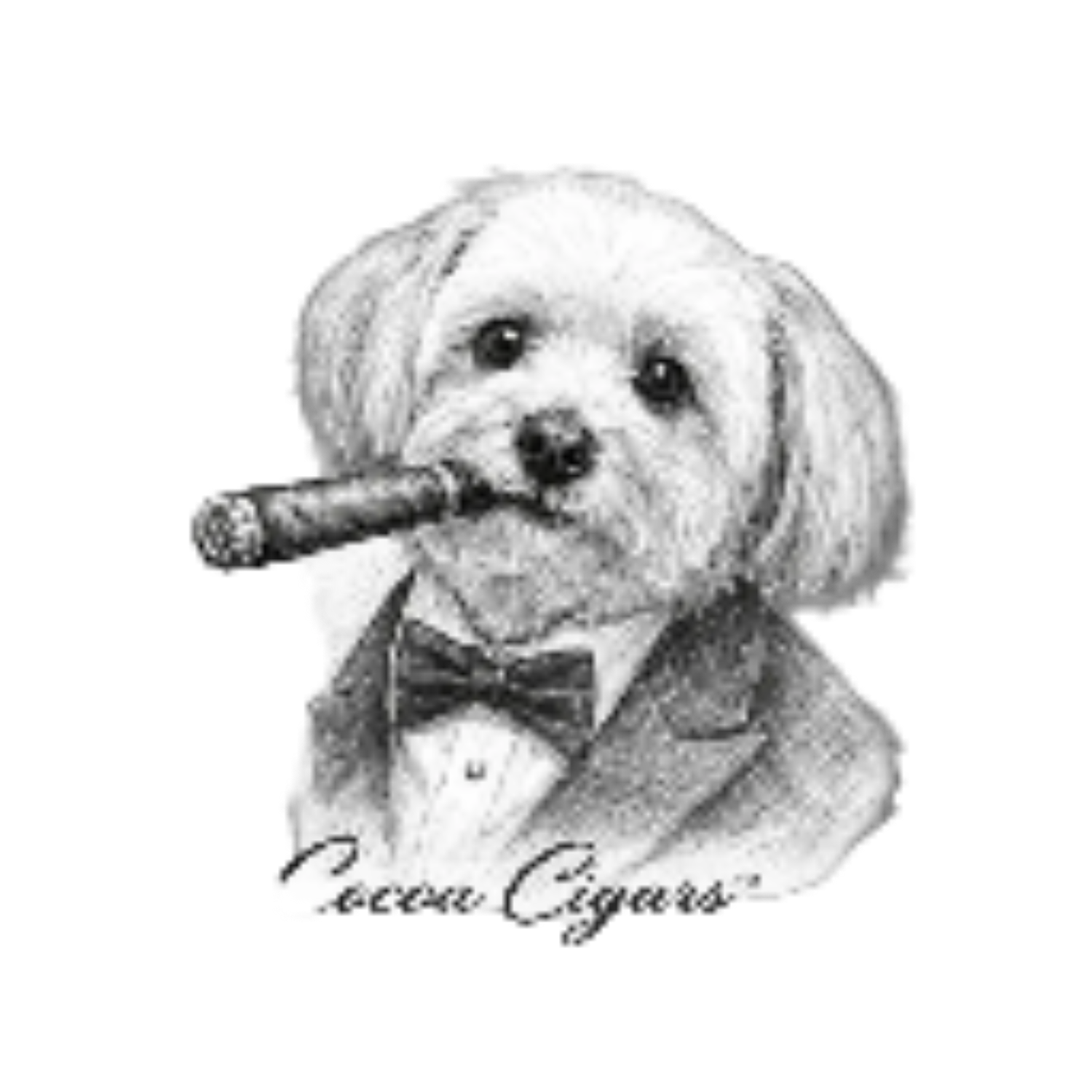 Cocoa Cigars